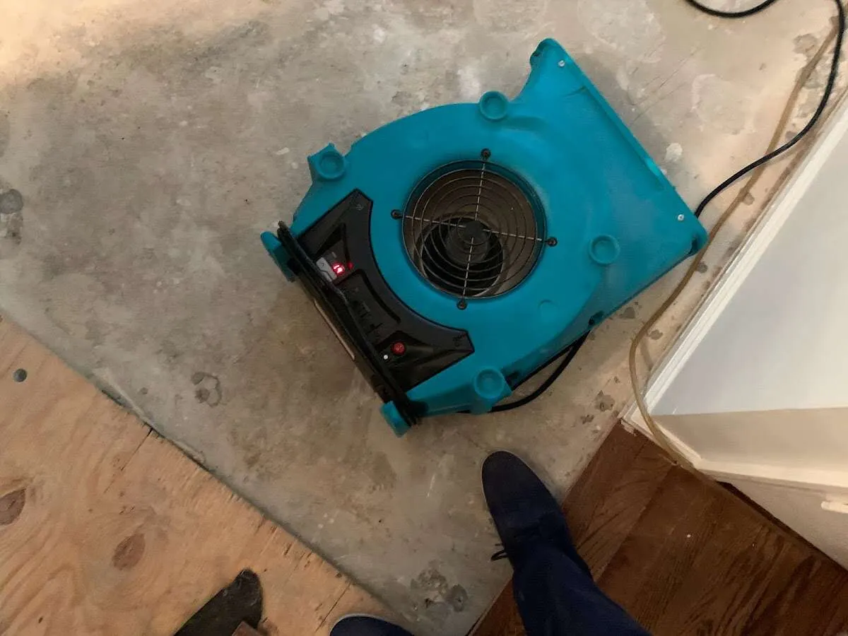 Air mover drying subfloor during Leak Detection & Repair in Greeneville